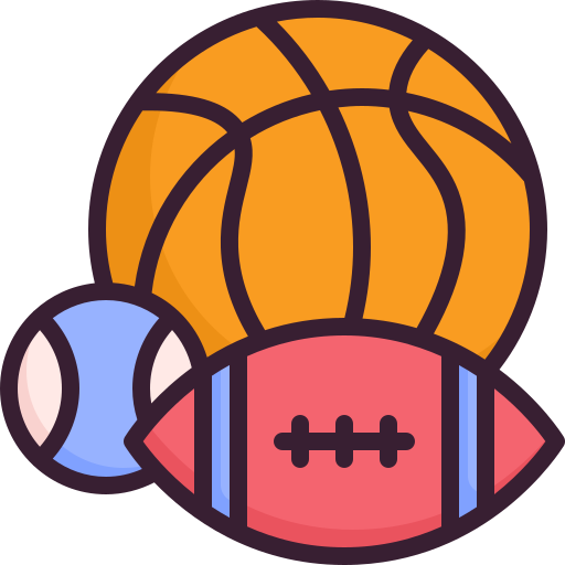 Fachcurriculum für den Sportunterricht